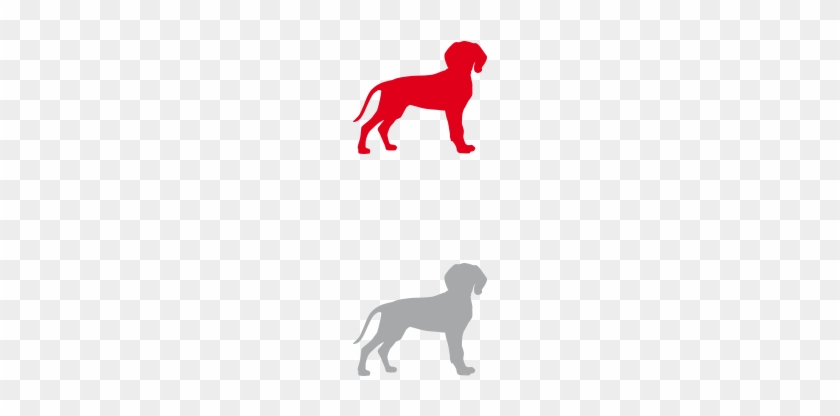 Growing Puppy - Veterinary Physician #1008111