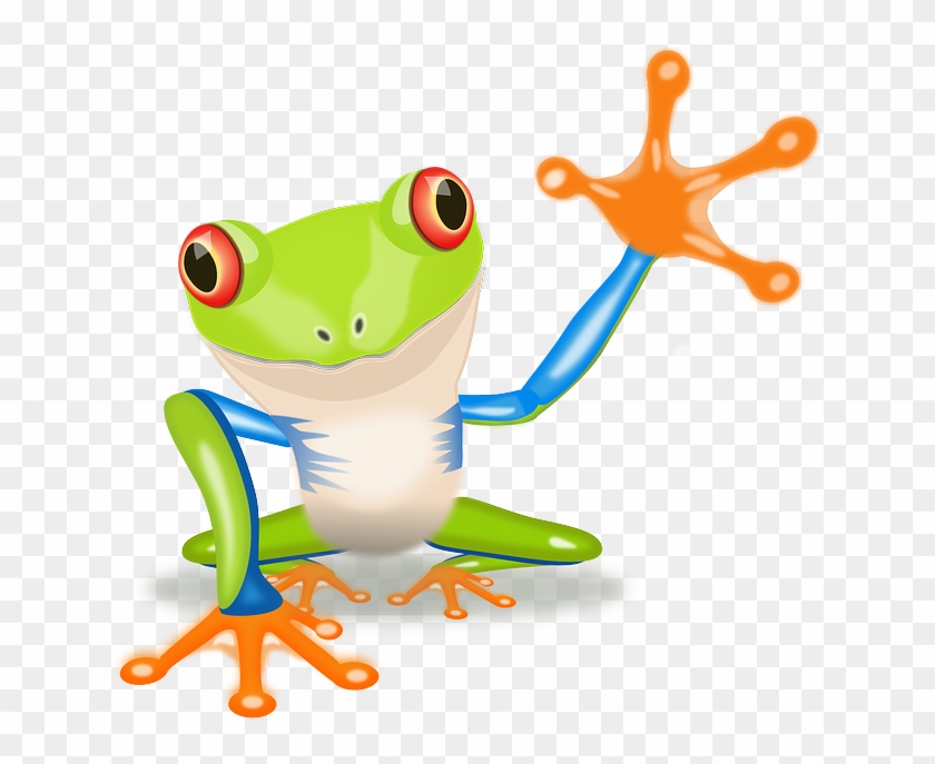 Free Pictures Tree Frog - Red Eyed Tree Frog Clip Art #1008190