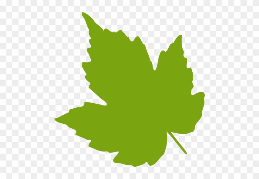 Green Maple Leaf Vector Image Public Domain Vectors - Grape Leaf Clip Art #1008309