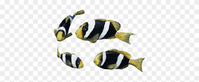 Clownfish Wall Decal, Home Decor Decals, By Walls Of #1008373