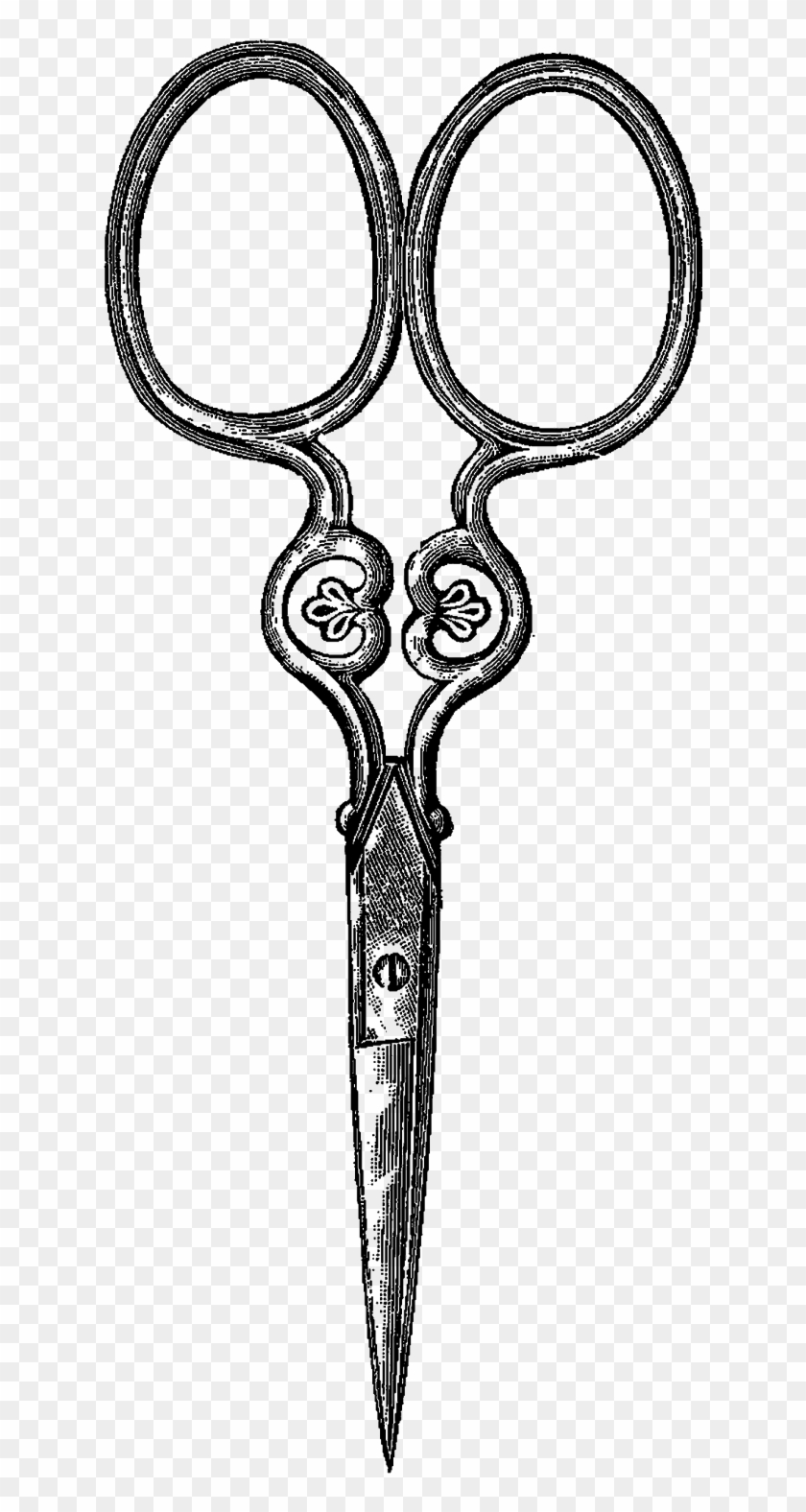 Scissors Sewing Illustration - Vintage Scissor Drawing #1009007