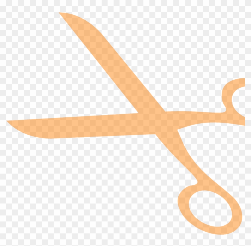 Many Skills Practiced And Shared - Many Skills Practiced And Shared #1009020