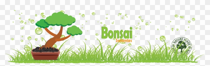Ordenar Por Ordem Alfabética - Bonsai #1009949