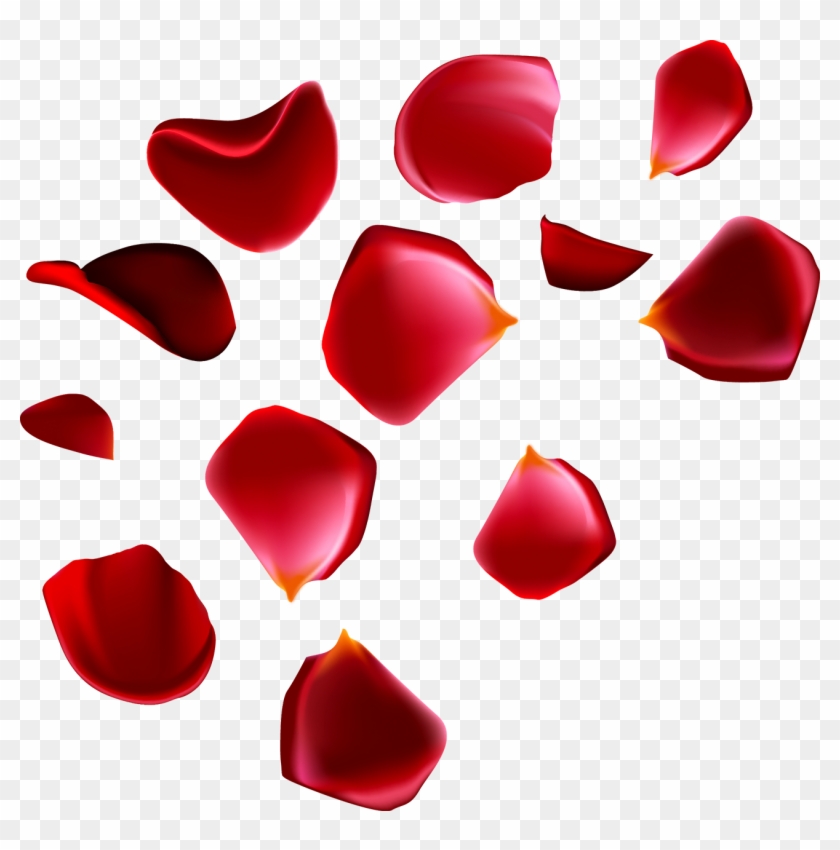 Beach Rose Petal Euclidean Vector - Petalos De Rosa Vector #1010056
