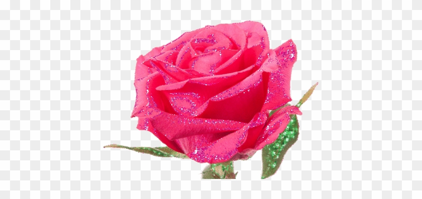 Gif Shortener - Rose #1010072