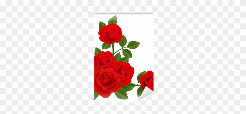 Vectores De Rosas Rojas #1010123