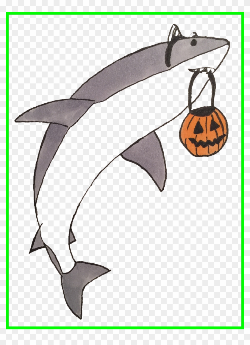 The Best Re Shark Cat Tumblr Picture Of Fish Png Transparent - The Best Re Shark Cat Tumblr Picture Of Fish Png Transparent #1010220