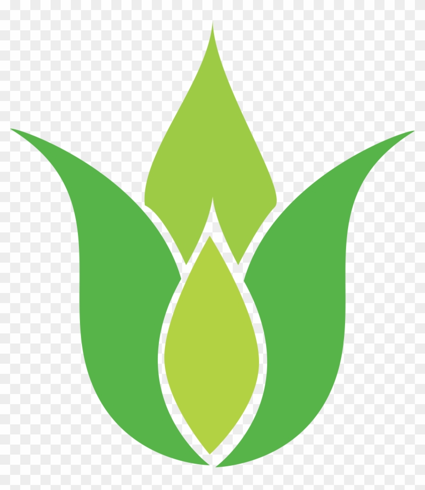 Png Coloured - Lotus Png Symbol Green #1011440