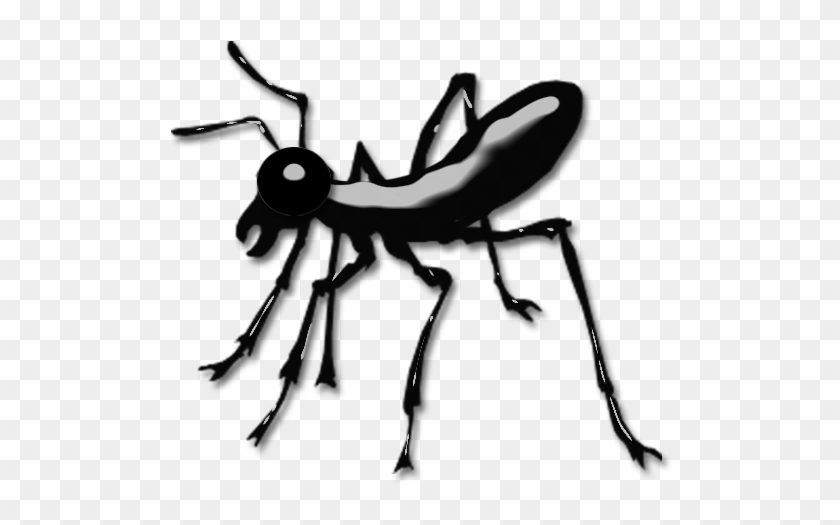 Nm Ant - Carpenter Ant #1011452