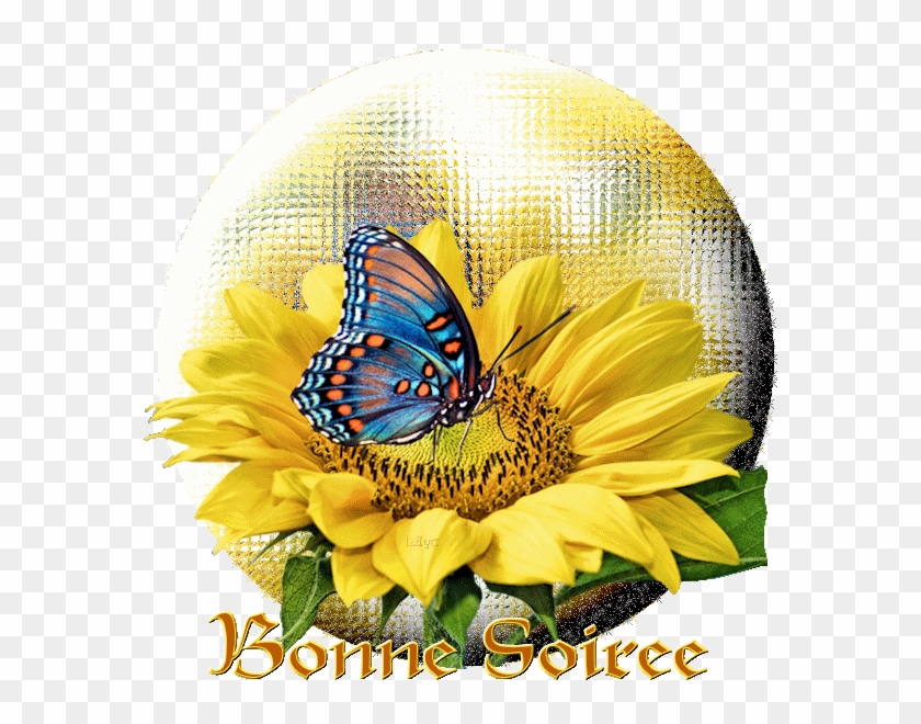 Bonne Nuit Femmes Papillions Gifs Centerblog - Rikki Knight Blue Butterfly On Sunflower Design Protective #1011521