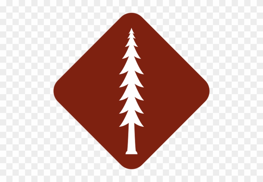 Christmas Tree #1012914