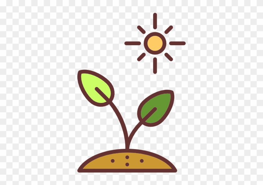 Best Soil For A Vegetable Garden - Growing Seed Clipart #1013377