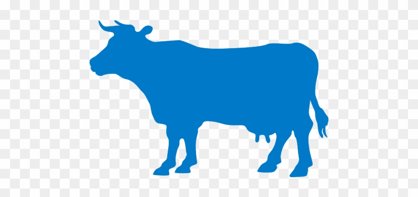 Beef Cattle Hereford Cattle Angus Cattle Open Range - Cattle Crossing Sign #1013421