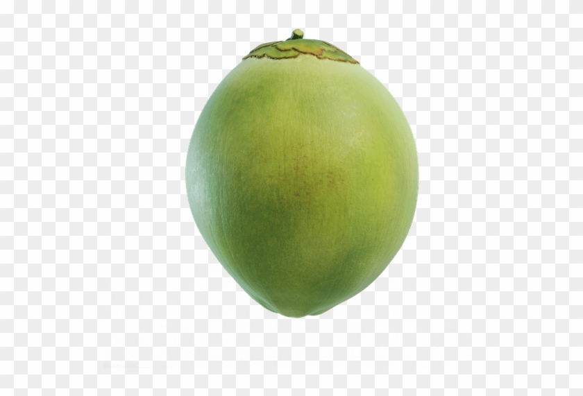 Never Exposed To Light Or Air - Green Coconut Fruit Png #1013568