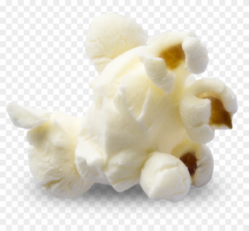 Popcorn Png Photos - Great Northern Popcorn 28 Oz. All Natural Organic Gourmet #1013654