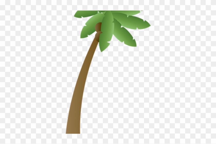 Palm Tree Clipart Plm - Palm Tree #1013727