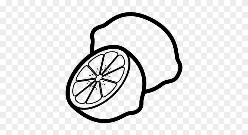 Lemon Shark Worksheet Educationcom - Lemon Coloring Page #1014005
