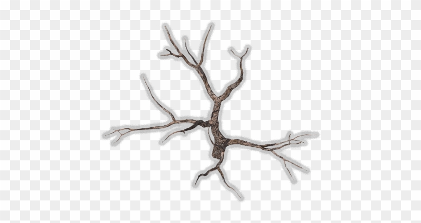 Tree-dead - Tree #1014147