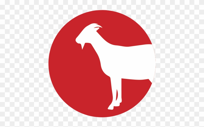 Goat - Goat #1014455