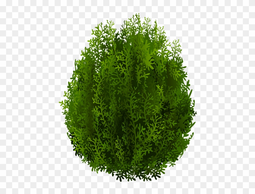 Imágenes De Árboles - Clip Art #1015121
