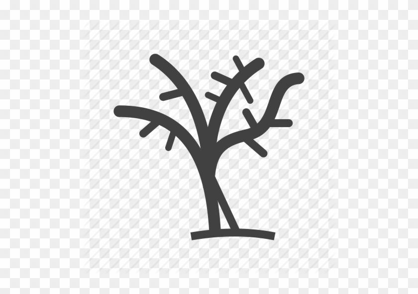 Tree Silhouette Of Circular Leaves - Branch Of Tree Icon #1015152