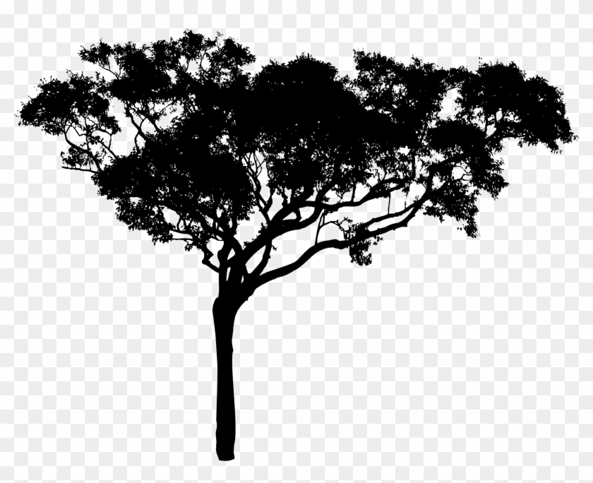 Tall Tree Silhouette Icons Png - Tall Tree Silhouette Icons Png #1015161