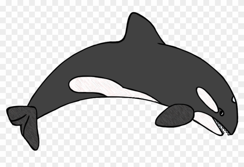 Humpback Whale Clipart - Wholphin #1015248