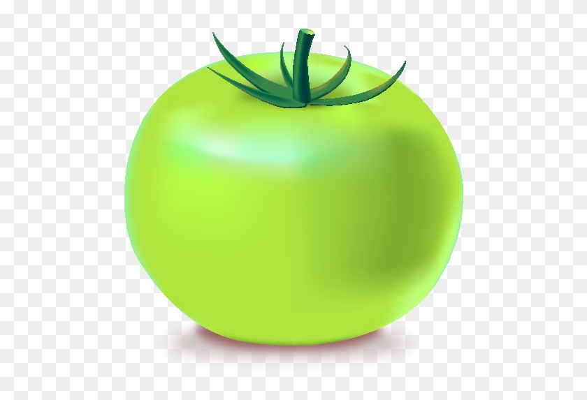 Tomato Green - Unripe Tomato Clipart #1015436
