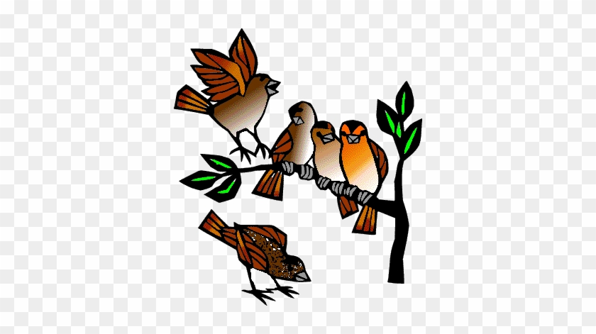 Four Sparrows Sitting On Tree Branch, One More On Ground - Third Sunday After Pentecost #1015558