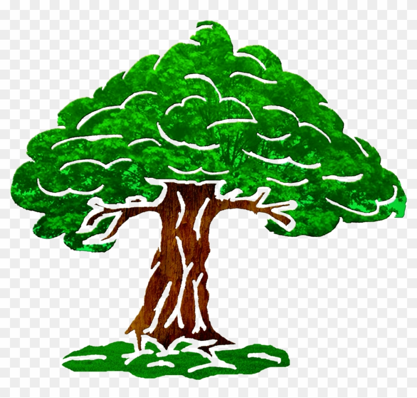 Oak #1015990