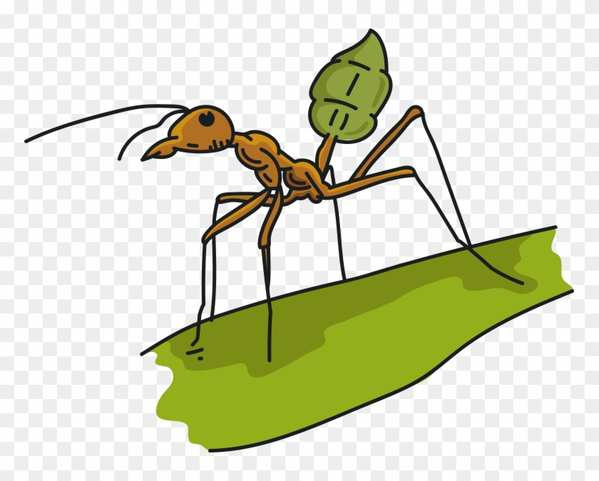 Green Ant Tea - Green Ant Tea #1016025