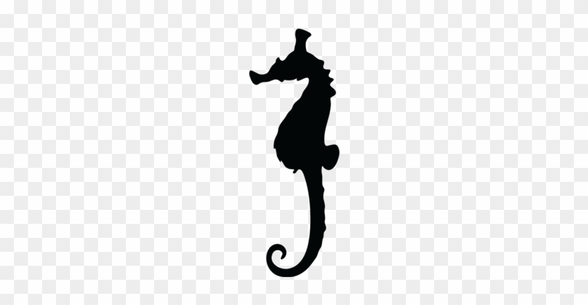 Seahorse - Seahorse #1016956