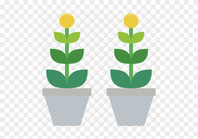 Potted Plants Clipart Ornamental Plant - Flowerpot #1017451