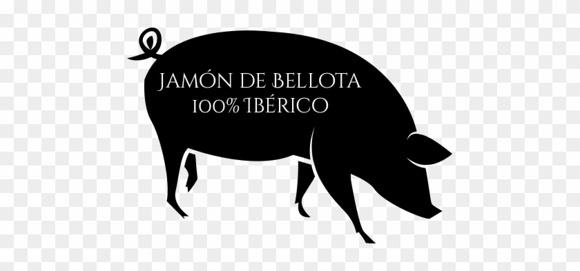 Cerdo Ibérico - Producers In Grass Land #1017941