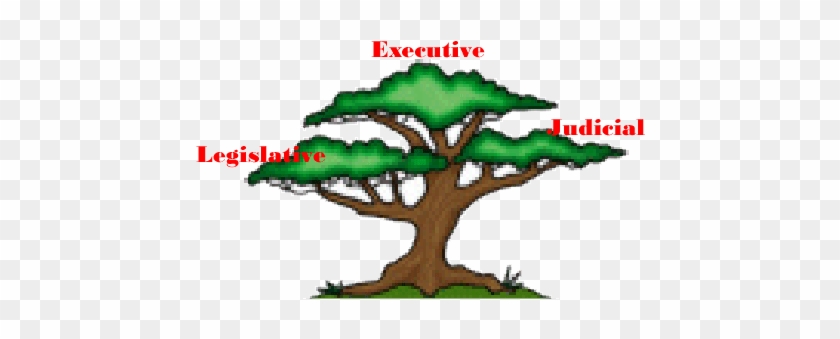 This Project Asks You To Create A Poster Representing - Branches Of Government Tree #1018362