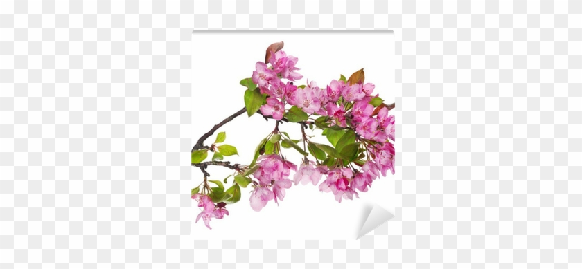 Larhe Pink Apple-tree Blossoming Branch Wall Mural - Tree #1018547