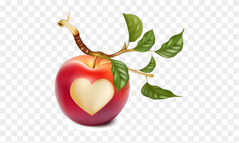 Nutritious Apple On Branch With Heart - Portable Network Graphics #1018582