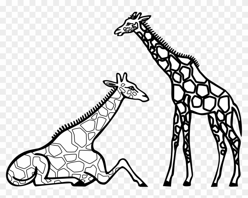 Giraffe Clipart Black And White Clipart Panda Free - Coloring Book #1018749