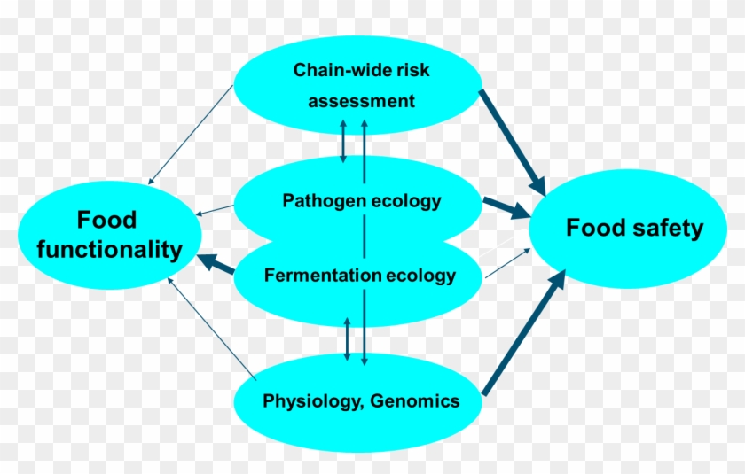 Researchfhm1 - Food Microbioogy #1018781