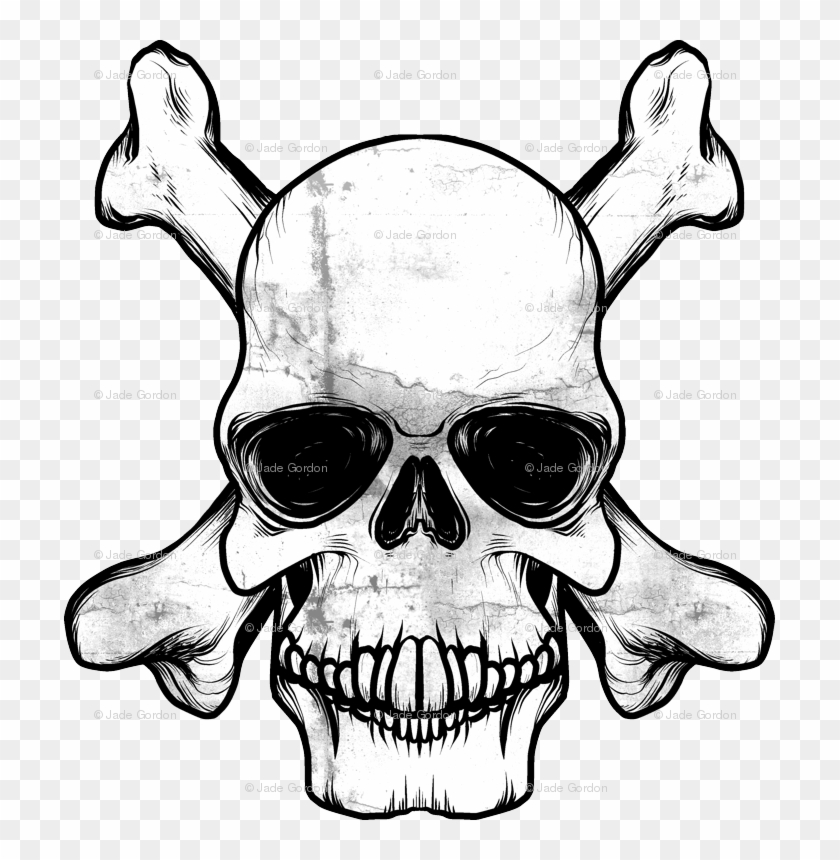 Skull #1019328