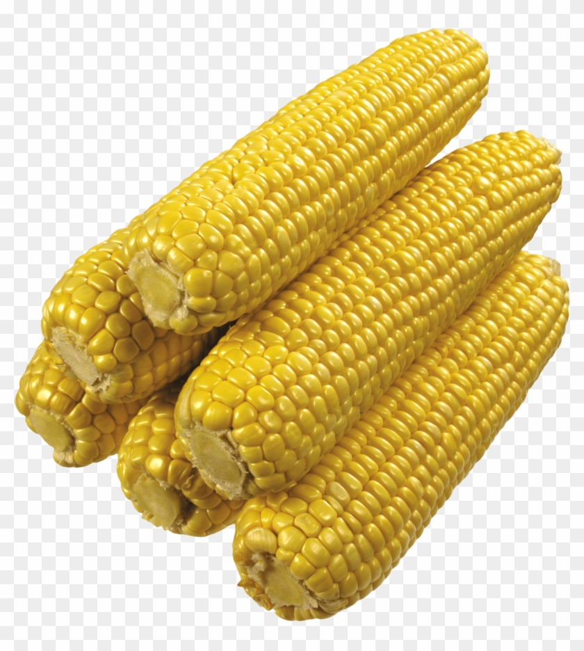 Corn Clipart Transparent Food - Corn Clipart Transparent Food #1019502