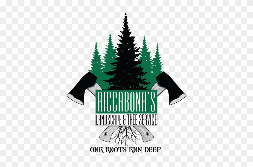 Riccabona's Landscape & Tree Service - Riccabona's Landscape & Tree Service Inc. #1019724