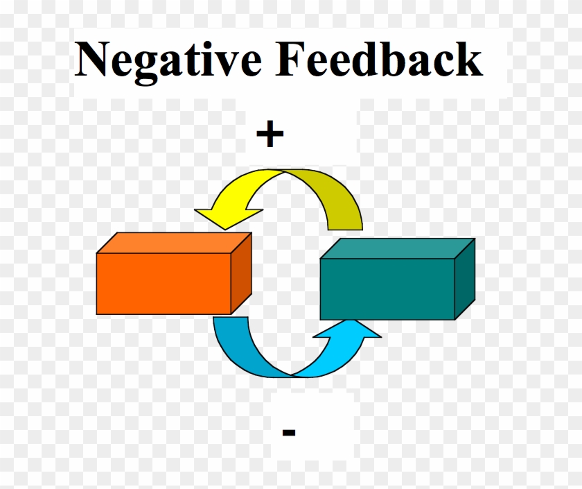 Negative Feedback System - Adams Electric Cooperative Inc #1020403