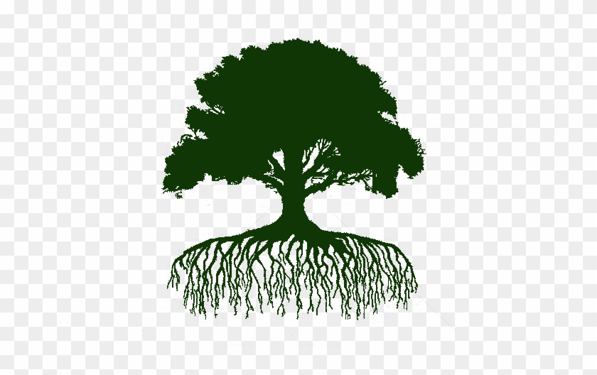 Located At 726 Hwy 29 N, Newnan, Ga, At The Former - Tree Silhouette With Roots #1020577