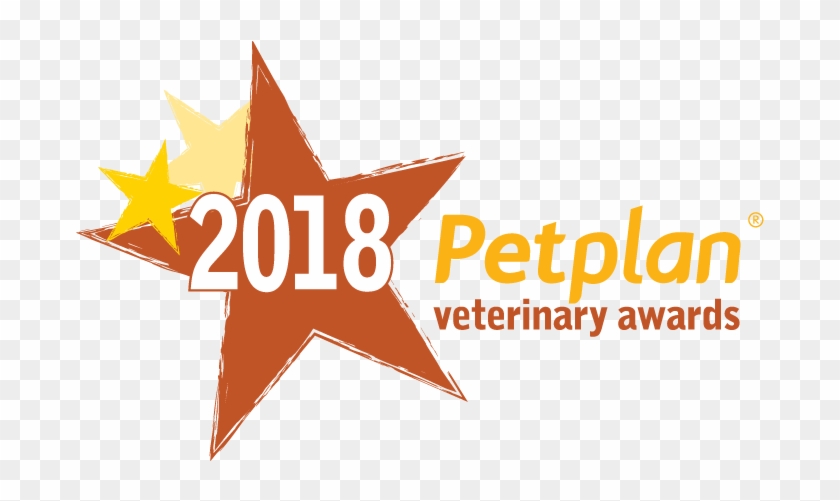 Terms And Conditions - Petplan #1020621