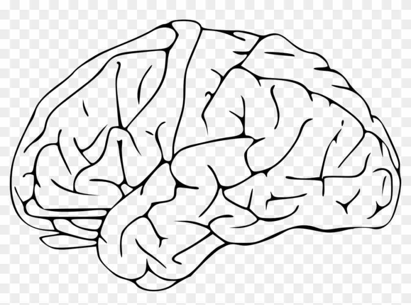 Brain Clipart Transparent Background - Brain Clipart #1020819