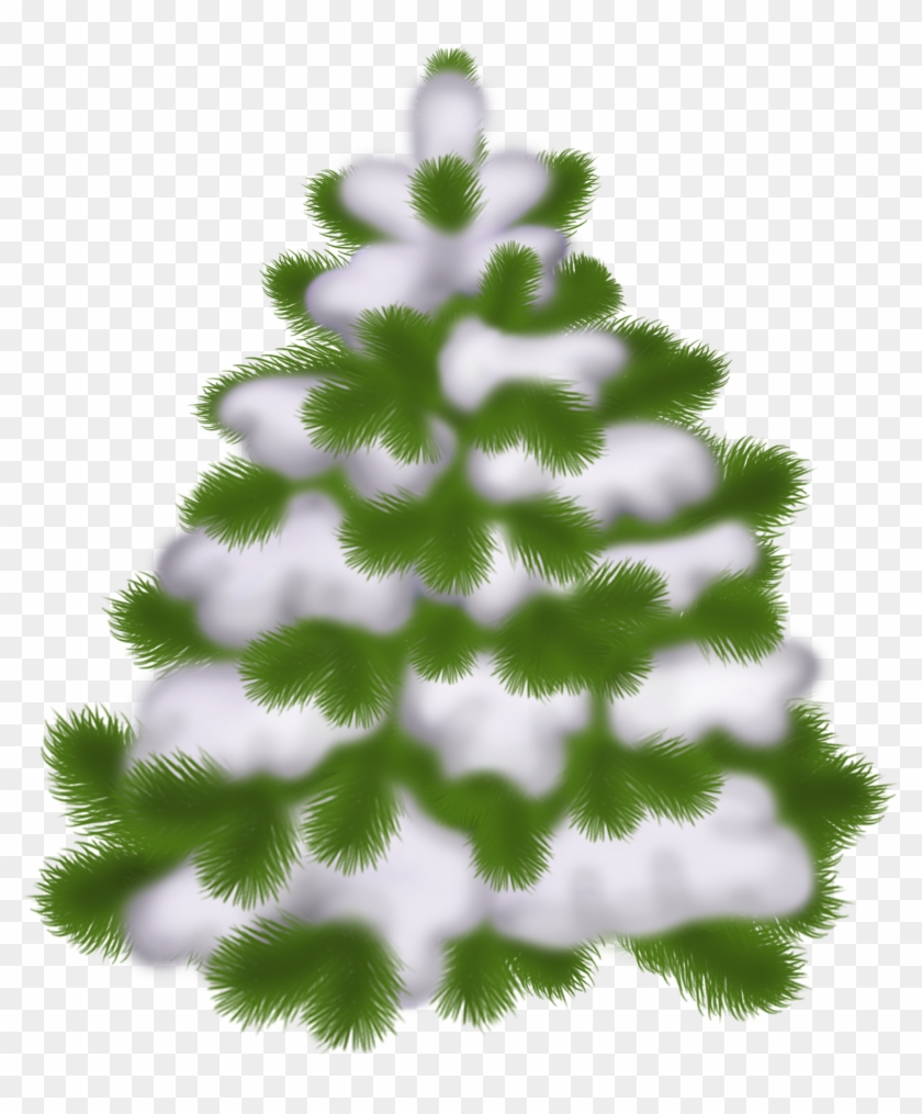   Cartoon Trees Clear Background #1021581