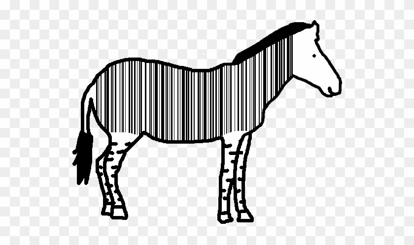 The Zebra - Area Codes 240 And 301 #1021857
