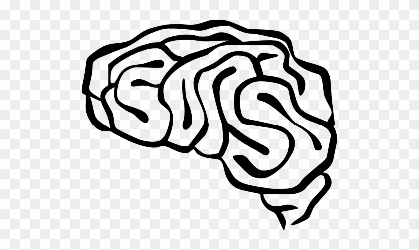 Brain Clip Art #1021998
