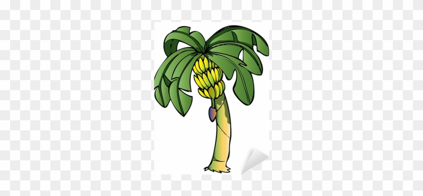 Banana #1022166